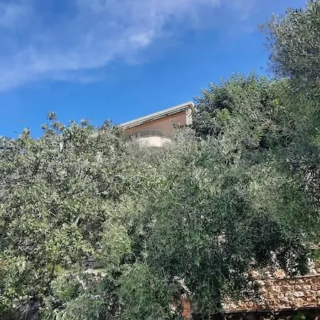 Mystica - Charming On The