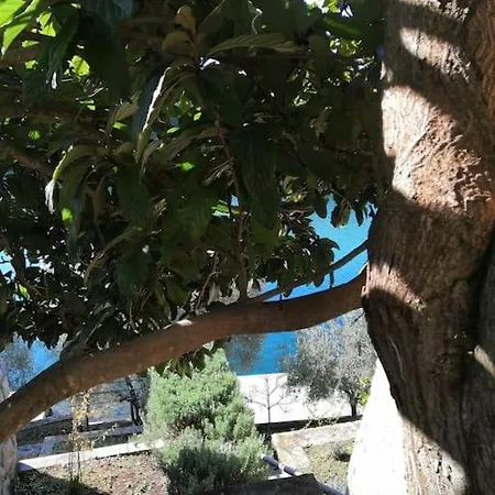 Mystica - Charming On The *